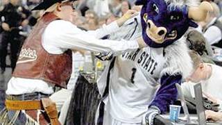 When Mascots Don't Play Nice